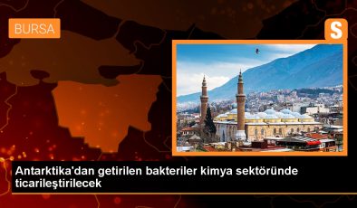 YTÜ, Antarktika’dan izole edilen yeni bakteri türleriyle enerji tasarrufu sağlayacak bir ürün geliştirmeyi hedefliyor